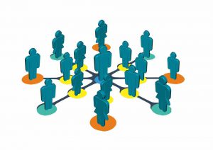 social trading