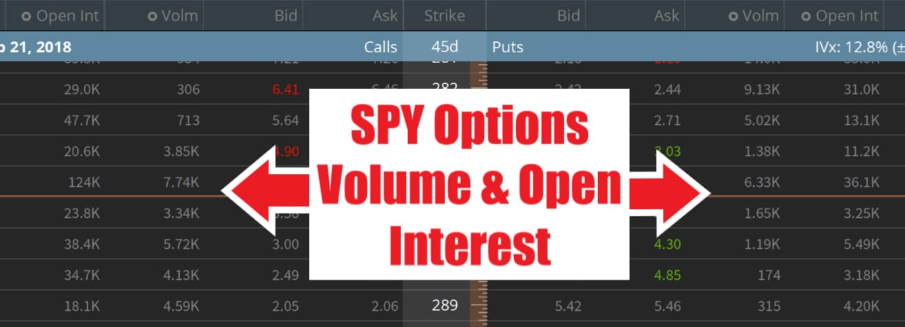 SPY Options Volume