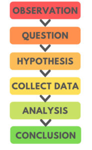 the scientific method
