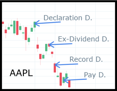 An In-Depth Guide To How Dividend Stocks Work | Trade Options With Me