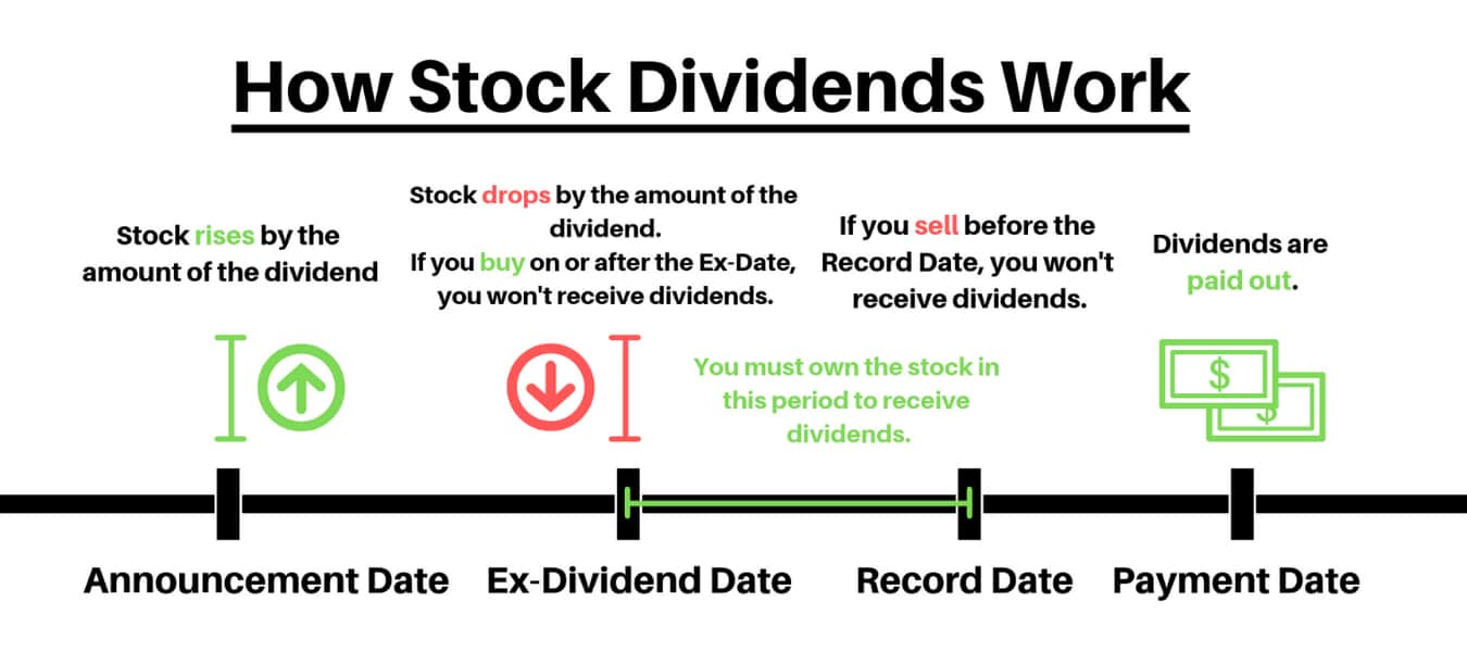 Dividend Stocks: What They Are, How They Work, How to Invest