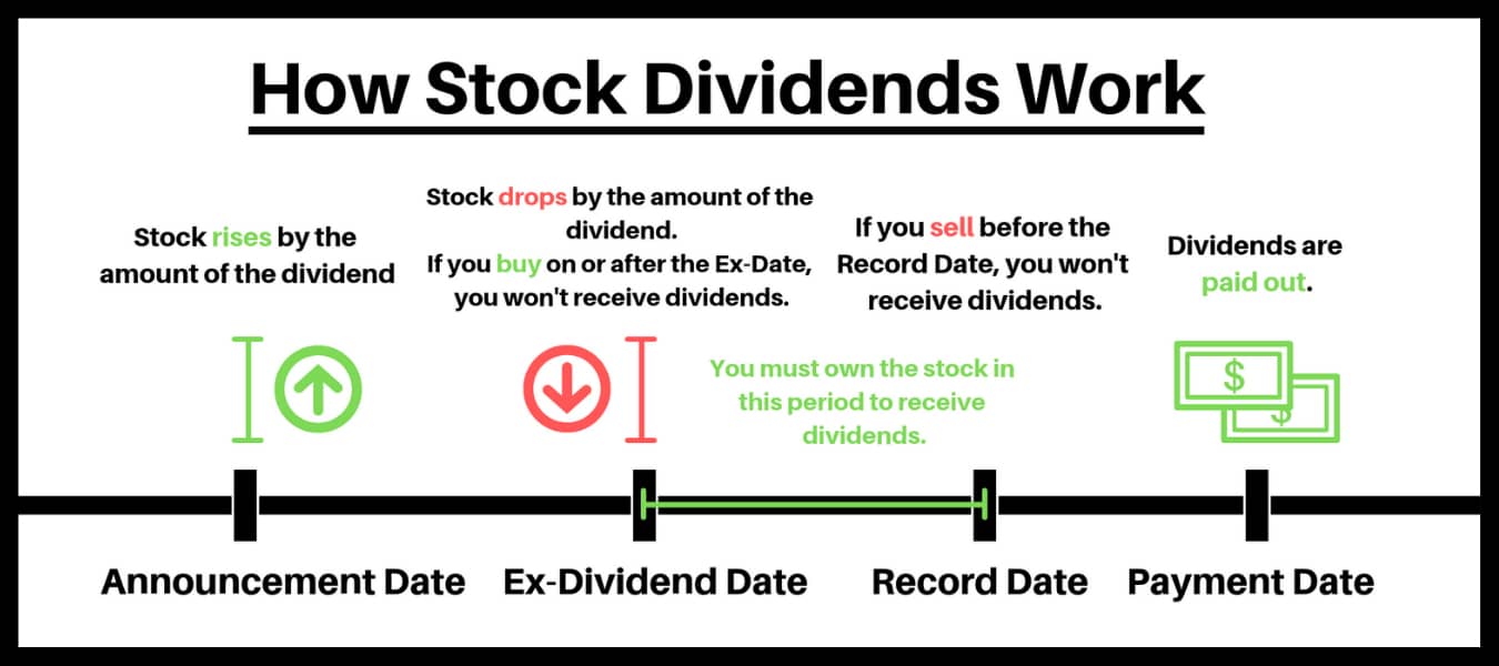 dividend stocks work dividends dates payment sell date record does often depth guide trading investing
